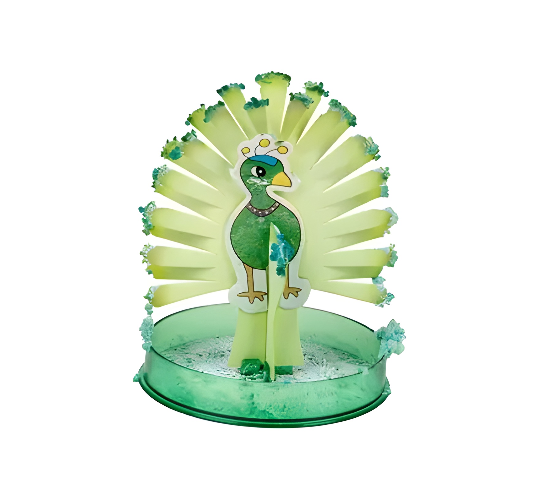 Novelty Growing Birds Asstd 11Cm